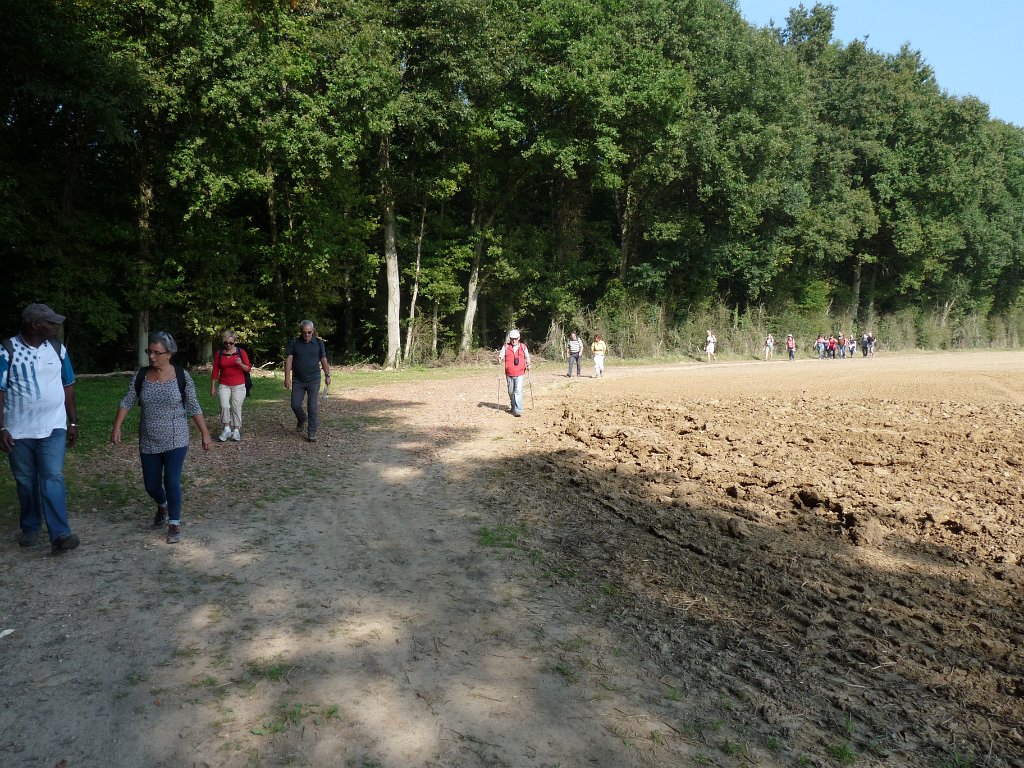 2014-09-14 Château de la Madeleine-0018.JPG